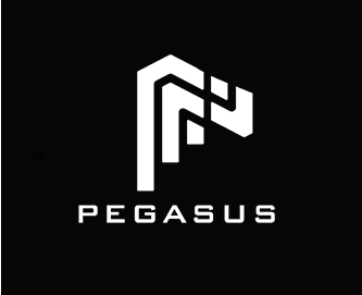 Pegasus Entertainment Co., Ltd.