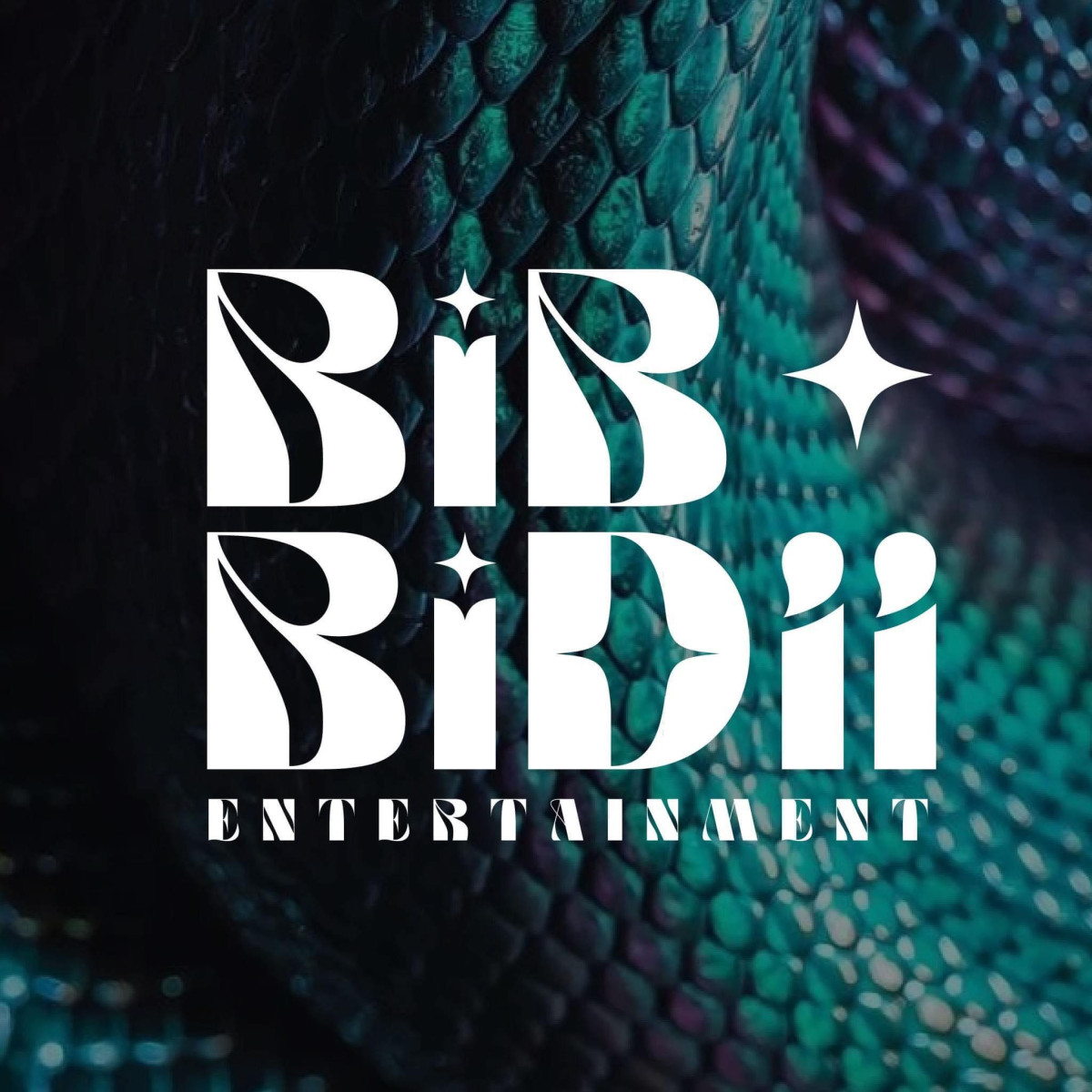 Bibbidii Entertainment Co., Ldt.